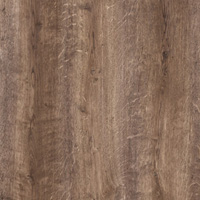 APL_225 - Stem oak - Dub stem